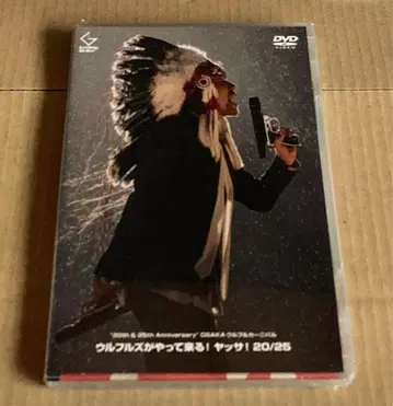 울풀즈 라이브 DVD