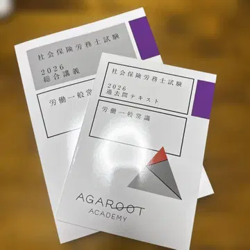 아갈트 사노시 2026 텍스트 과거문 노이치