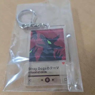 a flood of circle Stray Dogs 테마 플러드