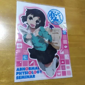 5034 변제미 마츠타카 나나코 A-4 클리어 파일