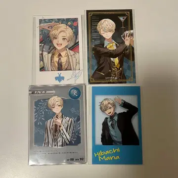 히바치 마나 폴라로이드