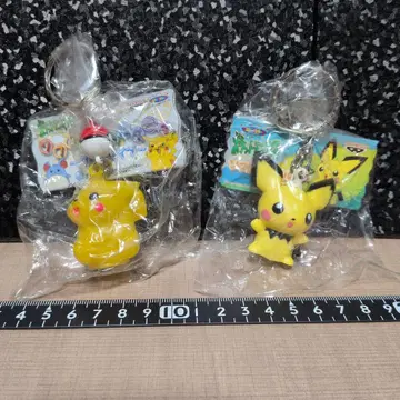 포켓몬 포켓몬스터 키링 2개 세트 묶음 판매