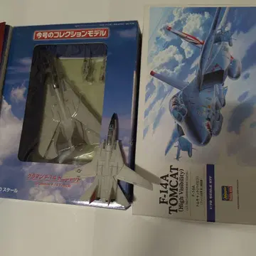 그루먼 F-14A 톰캣