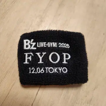 도쿄 돔 B'z LIVE-GYM 2025 FYOP 리스트 밴드
