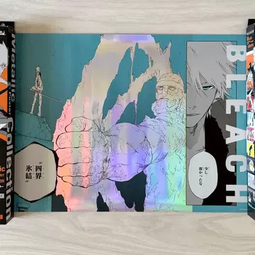 BLEACH 블리치 히즈카야 토시로 메탈릭 포스터 랜드마크