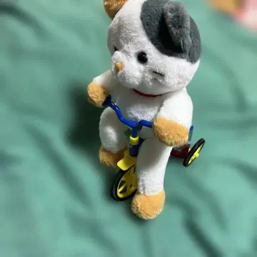 자전거로 달리는 인형옷 유원지 출근 삼색 고양이