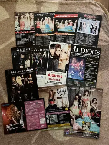 [ 12/13까지 ] Aldious 알디우스 플라이어 12장 세트