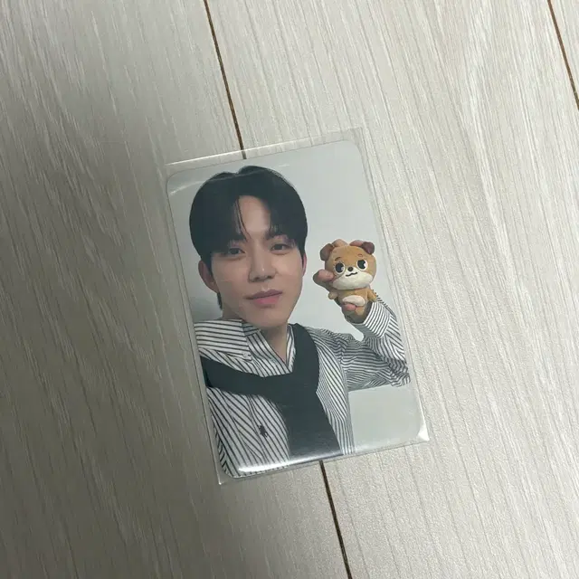 데이식스 아크릴 스탠드 웰쇼콘 벚꽃콘 도운 돈 데니멀즈 포카