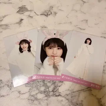 노기자카46 토미사토 리나 생사진 토끼 컴프