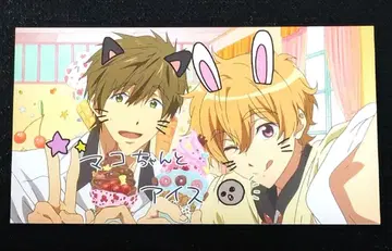 [ Free! ] 특제 포토 컬렉션 카드 엽서 마코토 나기사