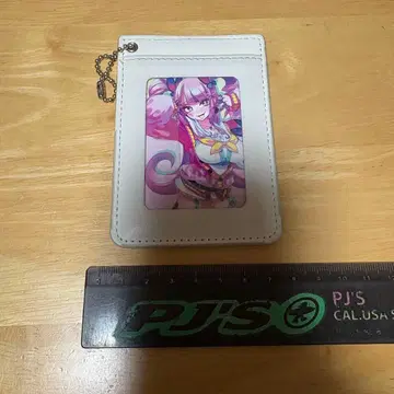 봄버걸 치아모 패스케이스