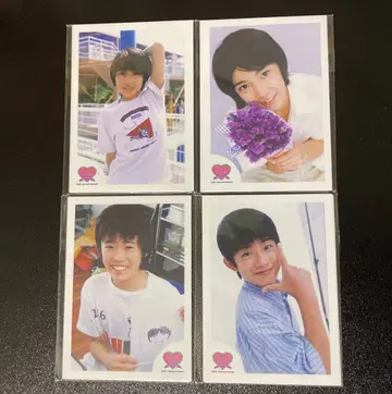 포유 미니 사진 세트