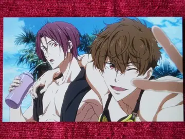 Free! 특제 포토 컬렉션 카드 엽서 린 나츠야 마츠오카 린 여름