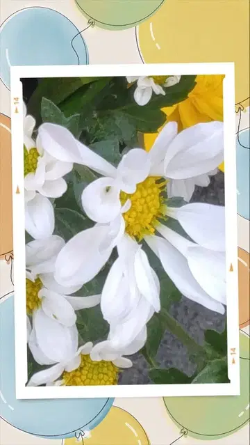 GALERIE VIE 더블 브레스트 노카라 코트