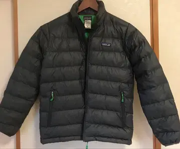 Patagonia 그레이 다운 자켓