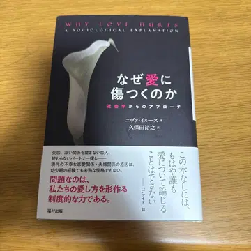 왜 사랑에 상처받는가 : 사회학적 접근