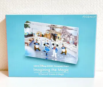 도쿄 디즈니 리조트 실사 아크릴 블록 이매지닝 더 매직