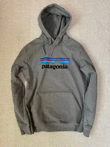 patagonia 그레이 후드 부착 후드티