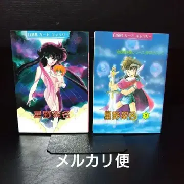 호시노 카나 하쿠센샤 카드 갤러리 2권 세트