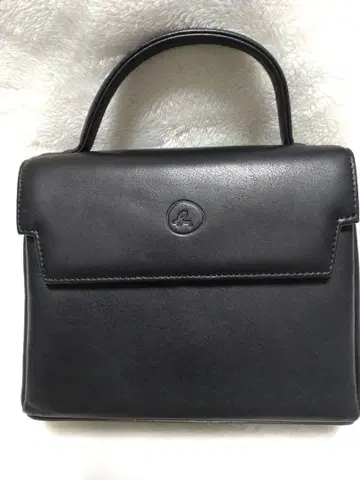 애니에스 베이 가죽 백