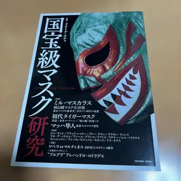 국보급 마스크 연구