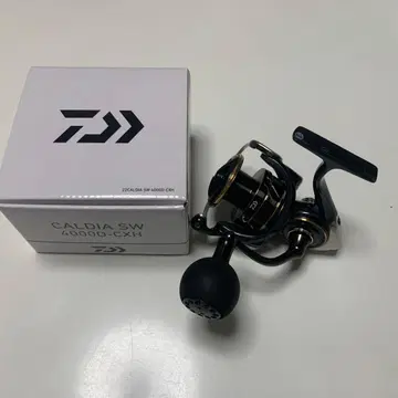 다이와 칼디아 SW4000D-CXH
