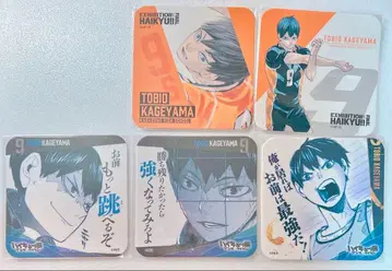 하이큐 아트 코스터 청춘 격려 코스터 카게야마 토비오 세트