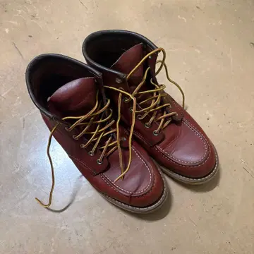 레드윙 red wing 9106 아이리쉬 세터