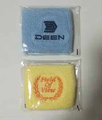 DEEN FIELD OF VIEW 리스트 밴드 BEING LEGEND