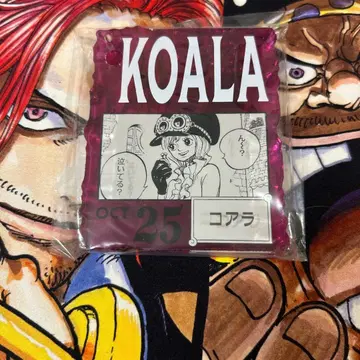 아크릴 블록 참 코알라