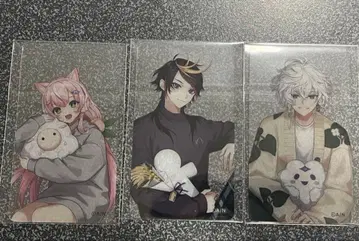 니지산지 anua 콜라보