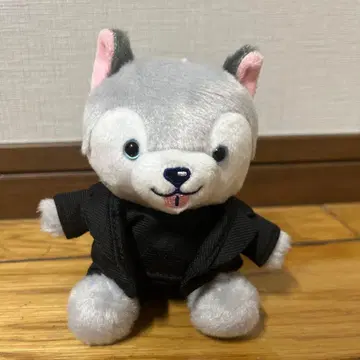 노킹 온 락드 도어 토리이누