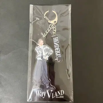 Wayv V 헨드리 Wayv LAND 팬미팅 아크릴 키링