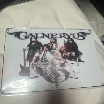 GALNERYUS 멤버 양철 간판