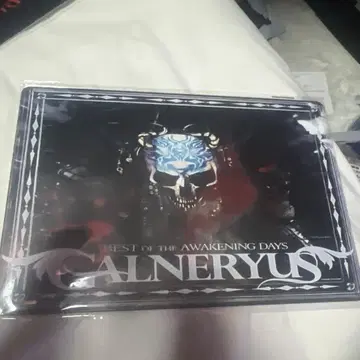 GALNERYUS BEST OF THE AWAKENING DAYS 브리키