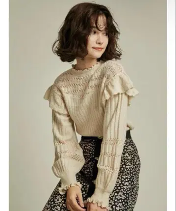 Lily Brown 릴리 브라운 시스루 니트탑 프리 사이즈