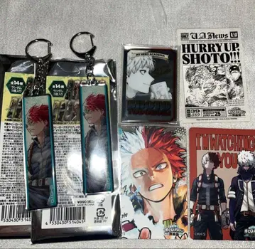 히로아카 원화전 토도로키 쇼토 6세트