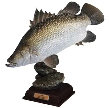 NTC 일본의 청류 증보 특장판 아카메