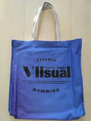 TravisJapan LIVETOUR 2025 VIIsual 투어 백