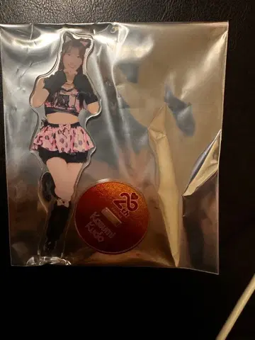 AKB48 쿠도 카스미 아크릴 스탠드 일본 무도관 복권