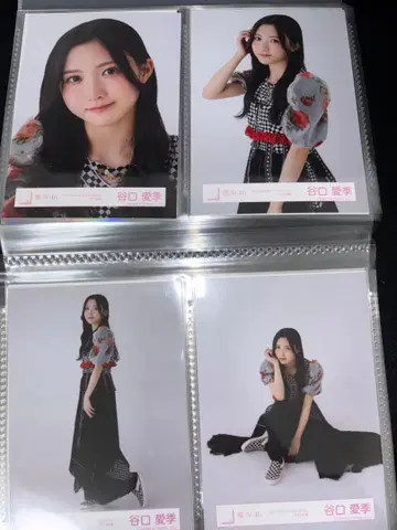 타니구치 아이리 4th ARENA TOUR 2024 라이브 의상 컴프