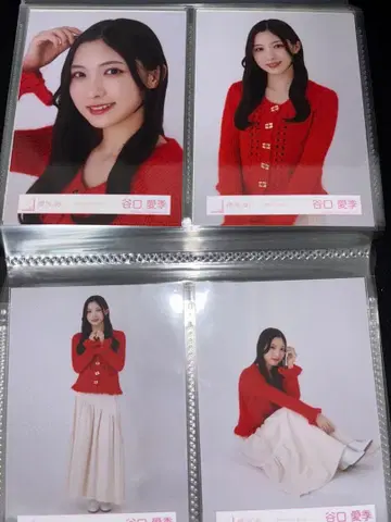 타니구치 아이리 컬러 니트 코디 컴프