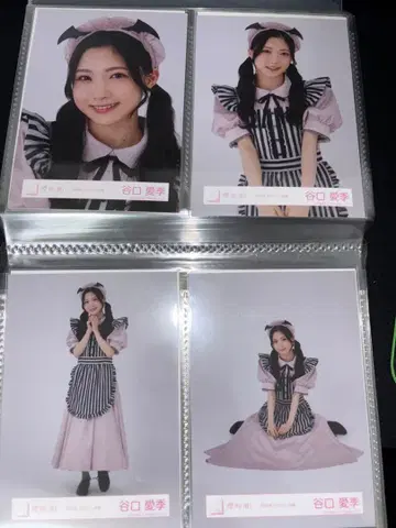 타니구치 아이리 2024년 할로윈 의상 컴프