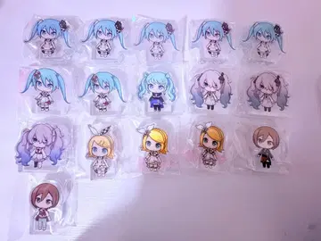 프로세카 코롯토 묶음 판매