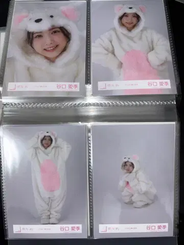 타니구치 아이리 동물 인형옷 컴프