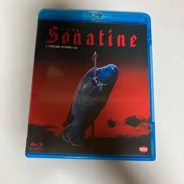 소나티네('93 반다이 비주얼/쇼치쿠 제1흥행)Blu-ray