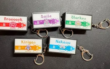 와이텔즈 블랙테일즈 꽃 용 기차 빛나는 키링 컬렉션