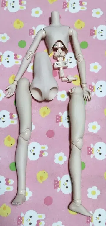 파라박스 오리지널 외피 바디 오비츠 바디 50cm 남자 화이티