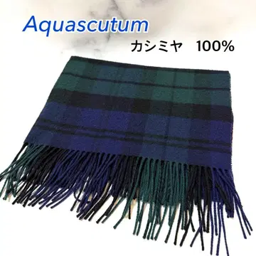 아쿠아 스큐텀 캐시미어 스톨 대형