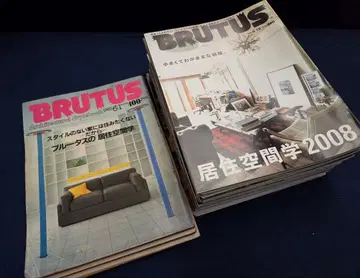 [ 거주 공간학 ] BRUTUS 블루투스 21권
